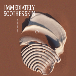 Shea Butter Zesty Lime Hand Cream