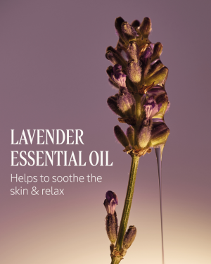 Le Savon Lavender Liquid Hand Soap