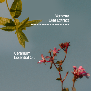 Verbena Geranium Eau de Toilette