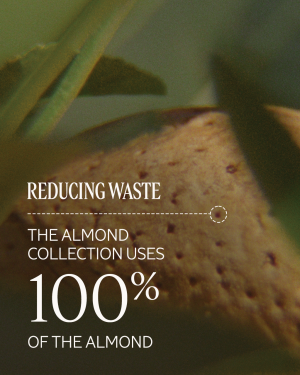 Almond Supple Skin Oil